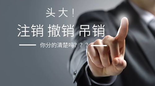 2020年宁波注销公司流程与费用